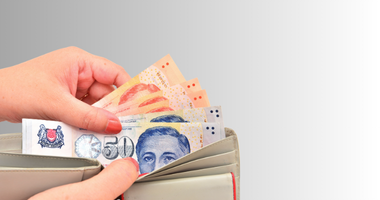 The True Cost of Owning a Pet in Singapore The True Cost of Owning a Pet in Singapore